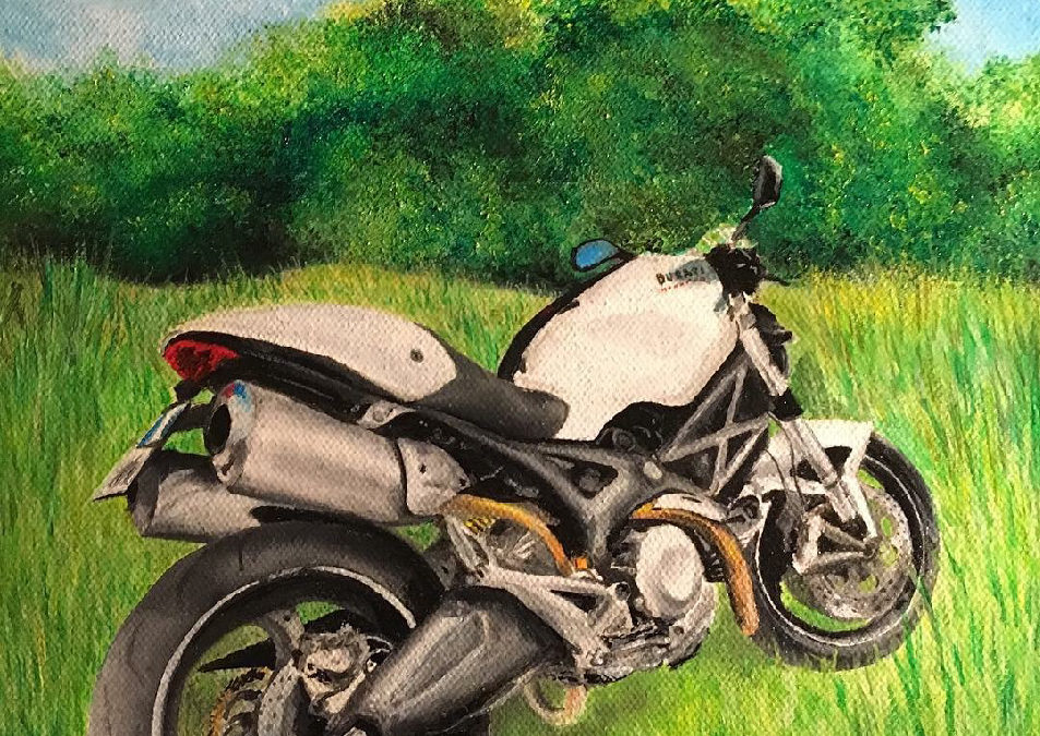 Monster 696