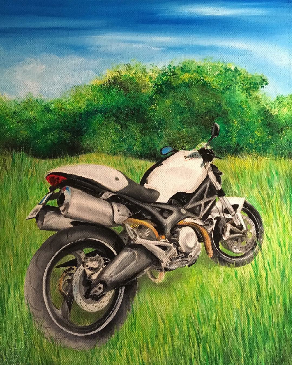 Monster 696