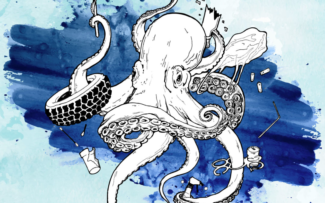 Octopus