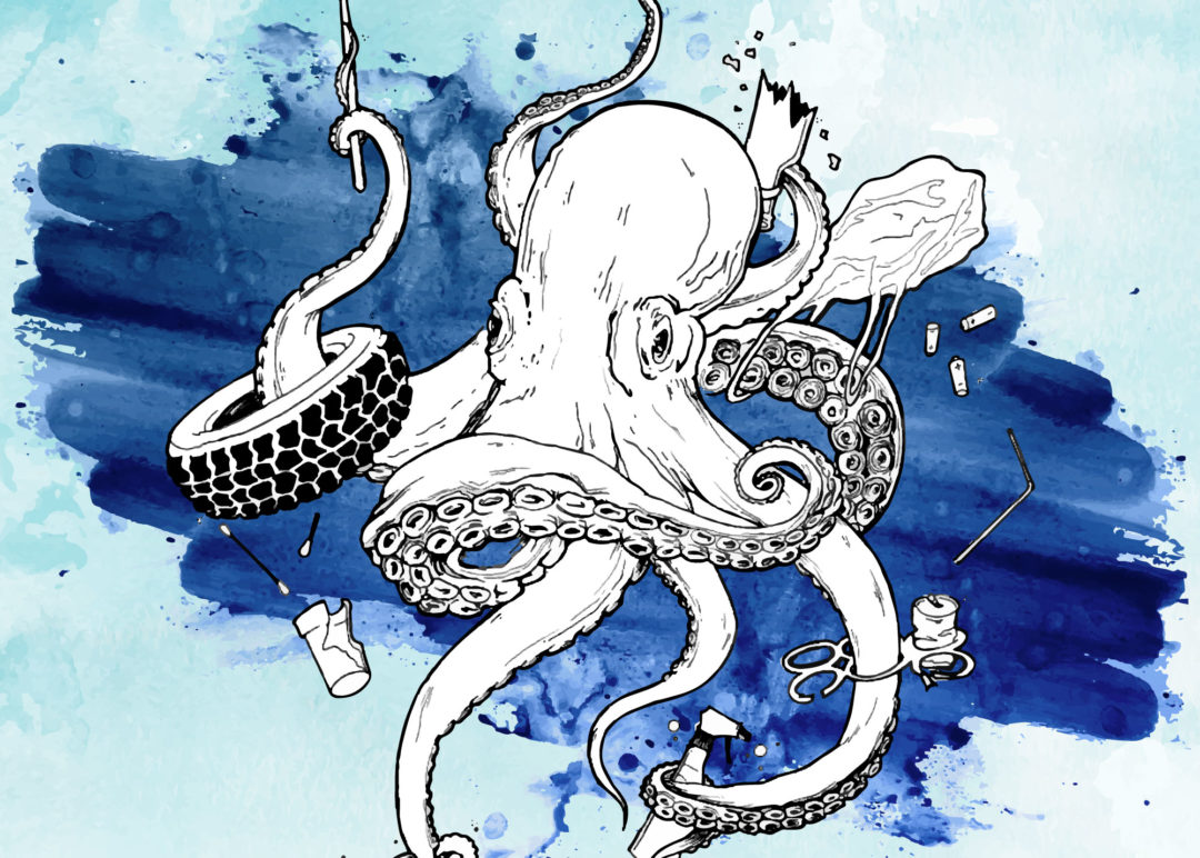 Octopus